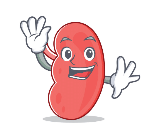 Is Keto Diet Bad for Kidneys? Do You Have These 2 Symptoms?