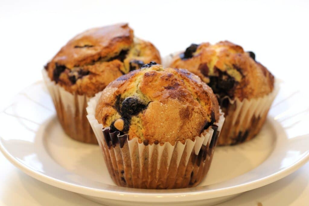 Blueberry muffin Blueberry muffin