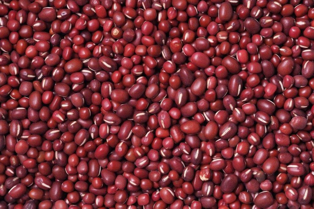 Refried beans Refried beans
