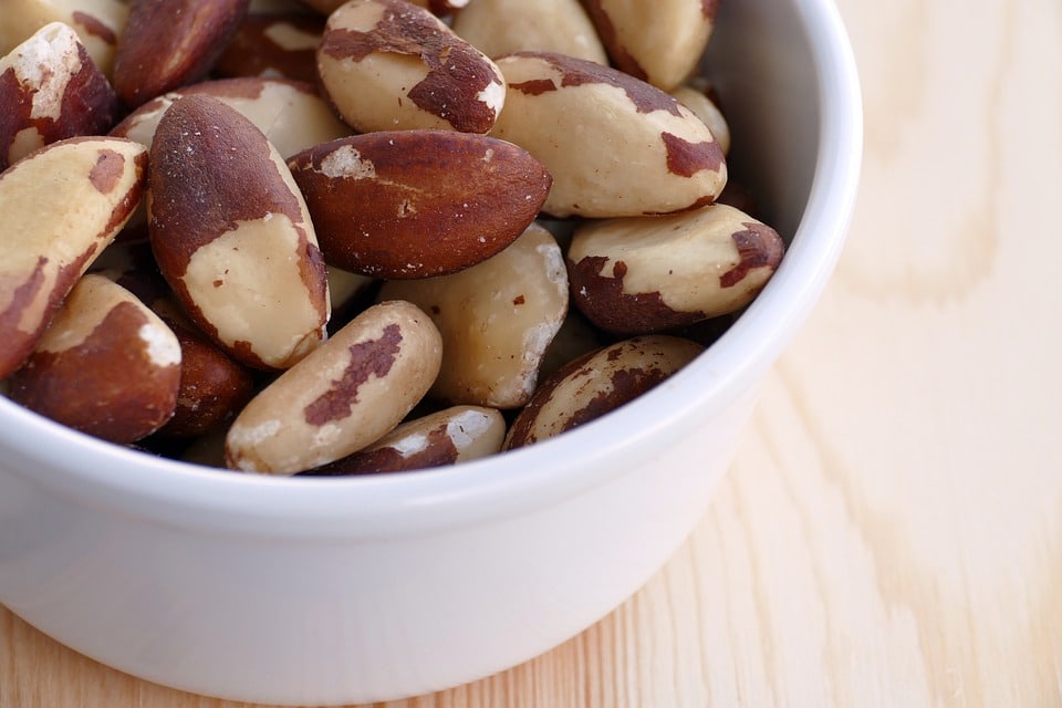Brazilian Nuts FAQ | The Secret Behind the Power
