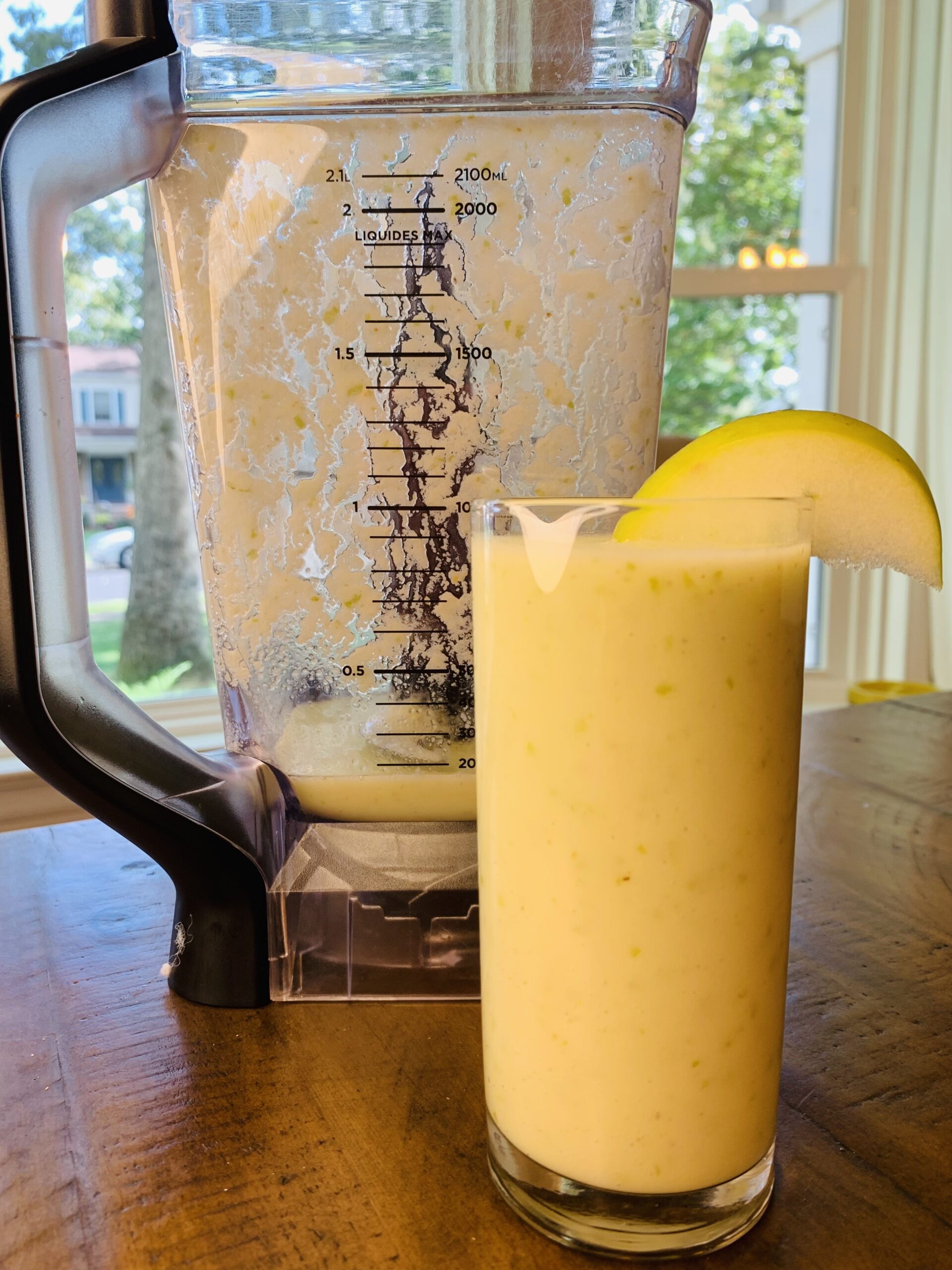 Bariatric Liquid Diet Recipes