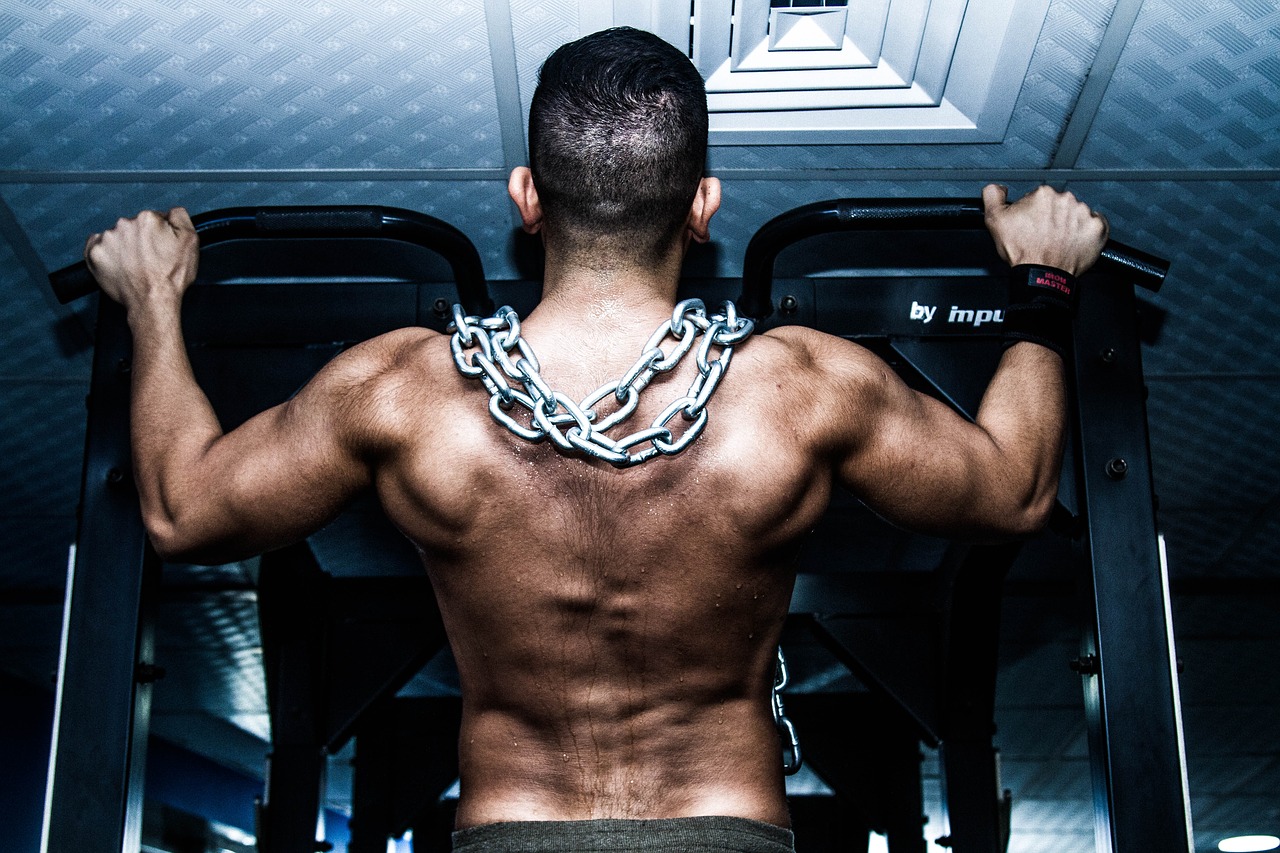 Vegan Bodybuilding Diet Plan (7 Day Meal Plan)