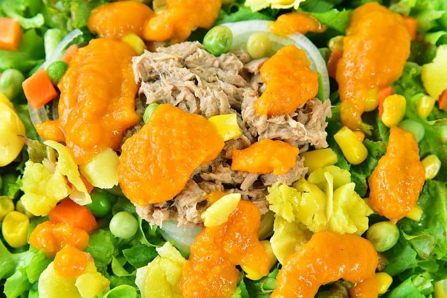 Atkins Ketogenic diet plan Atkins Ketogenic diet plan