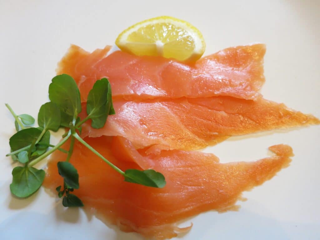 Salmon Salmon