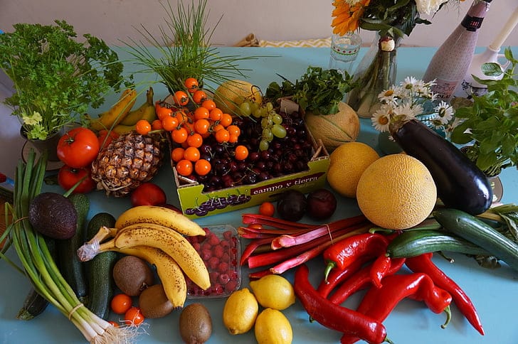 Vegan Autoimmune Diet (PRINTABLE and PDF)
