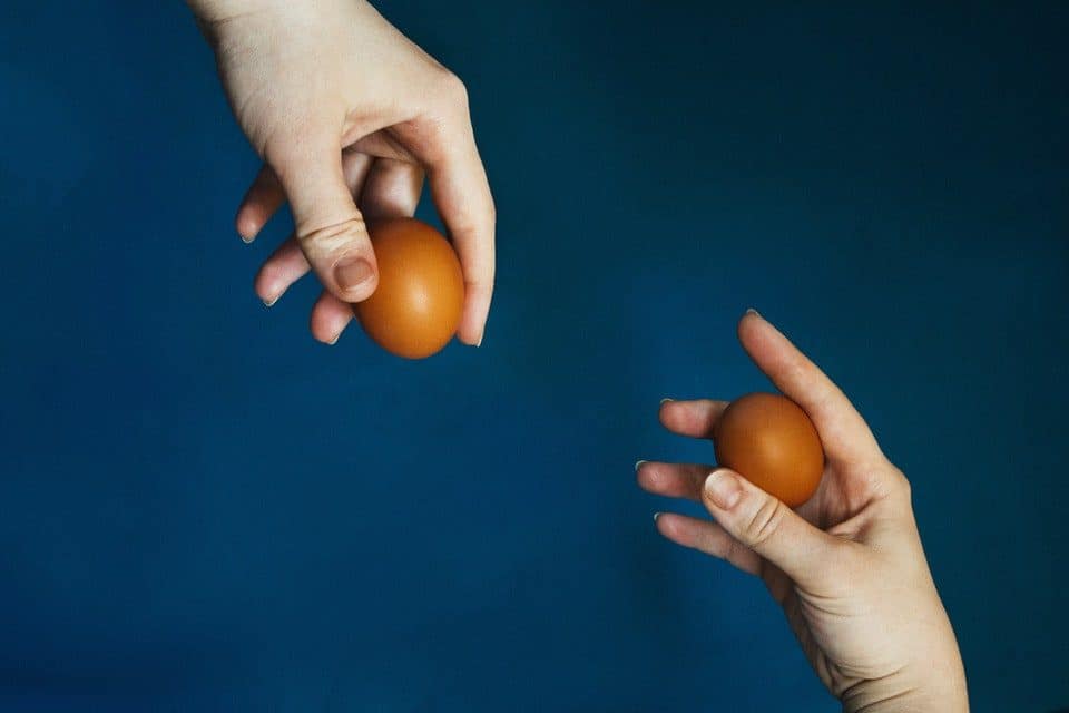 Printable Egg Diet Meal Plan Guide