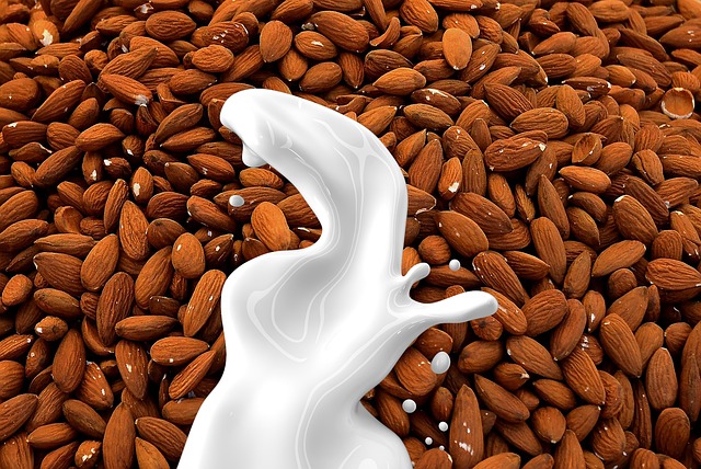Is Almond Milk Paleo?