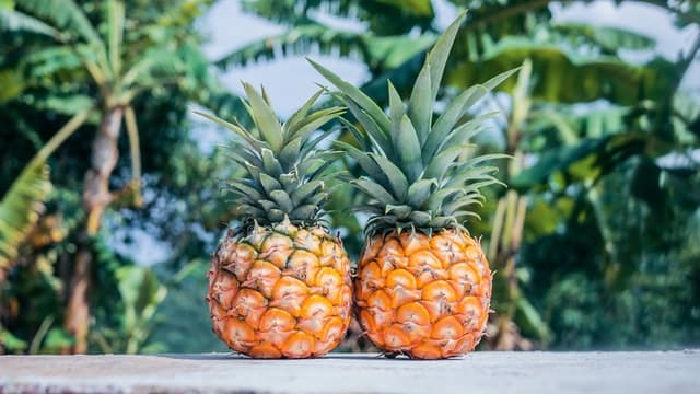 8 Foods That Help Detox Your Body