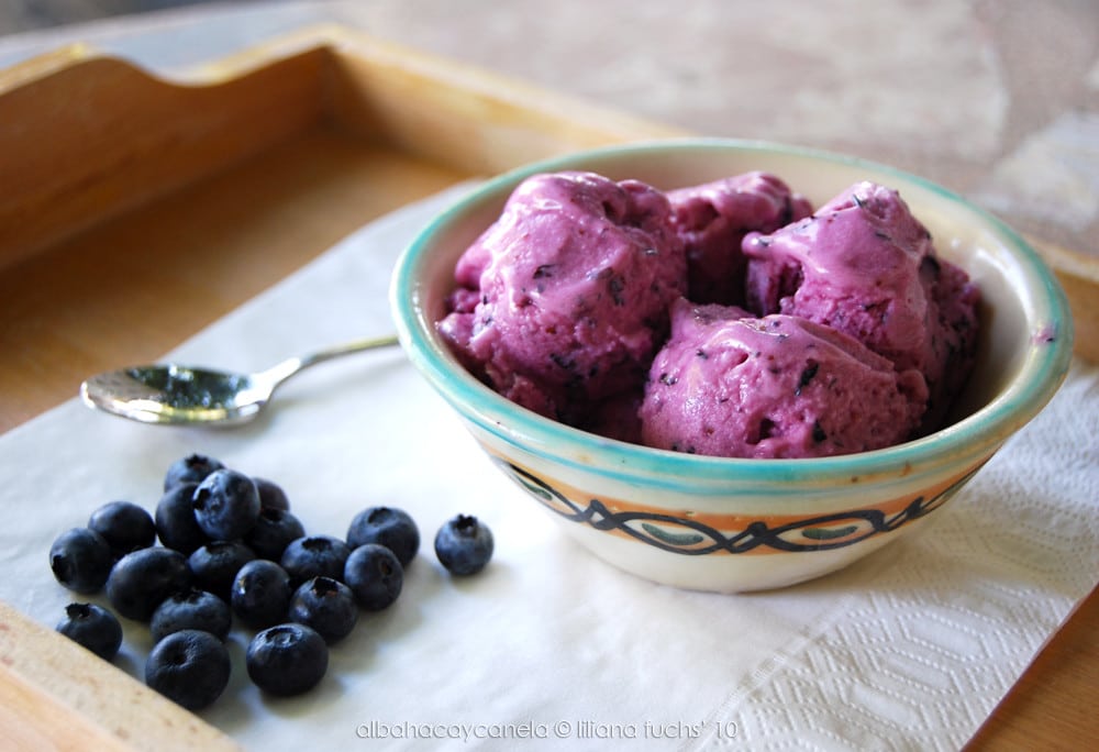 Healthy Keto Blueberry Ice Cream