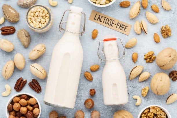 Printable Lactose-Free Food List: 176 Foods Included