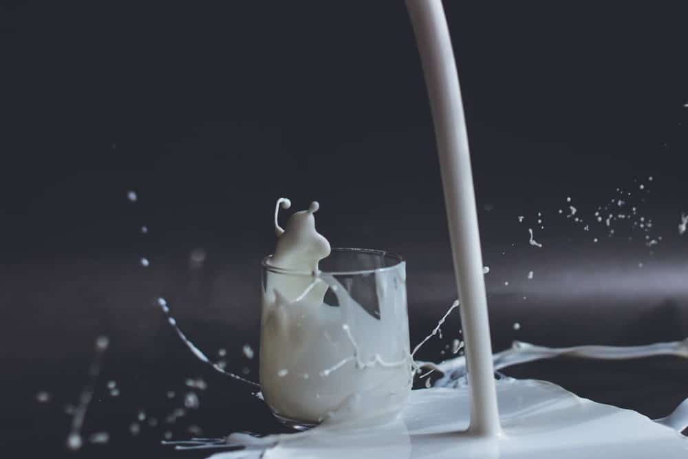 Lactose Free Diet Plan