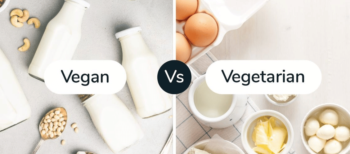 What is The Difference Between Vegan and Vegetarian?