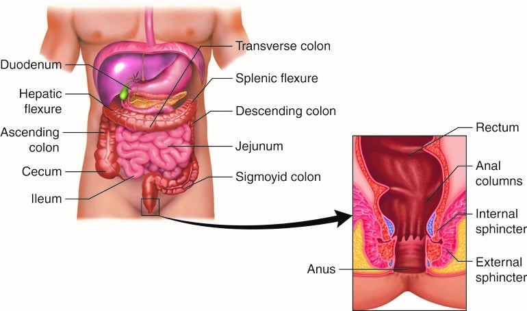 Liquid Diet for Diverticulitis Liquid Diet for Diverticulitis