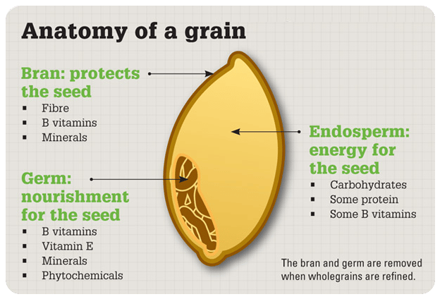 Whole Grains Food List Whole Grains Food List