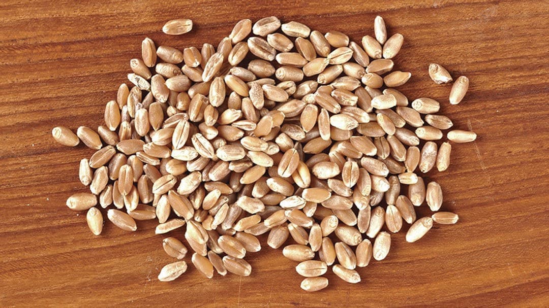 Whole Grains Food List Whole Grains Food List