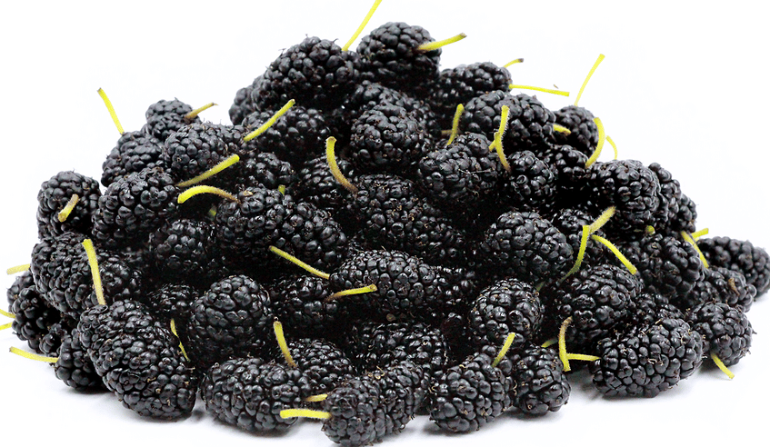 Iron Rich Foods Vegetarian