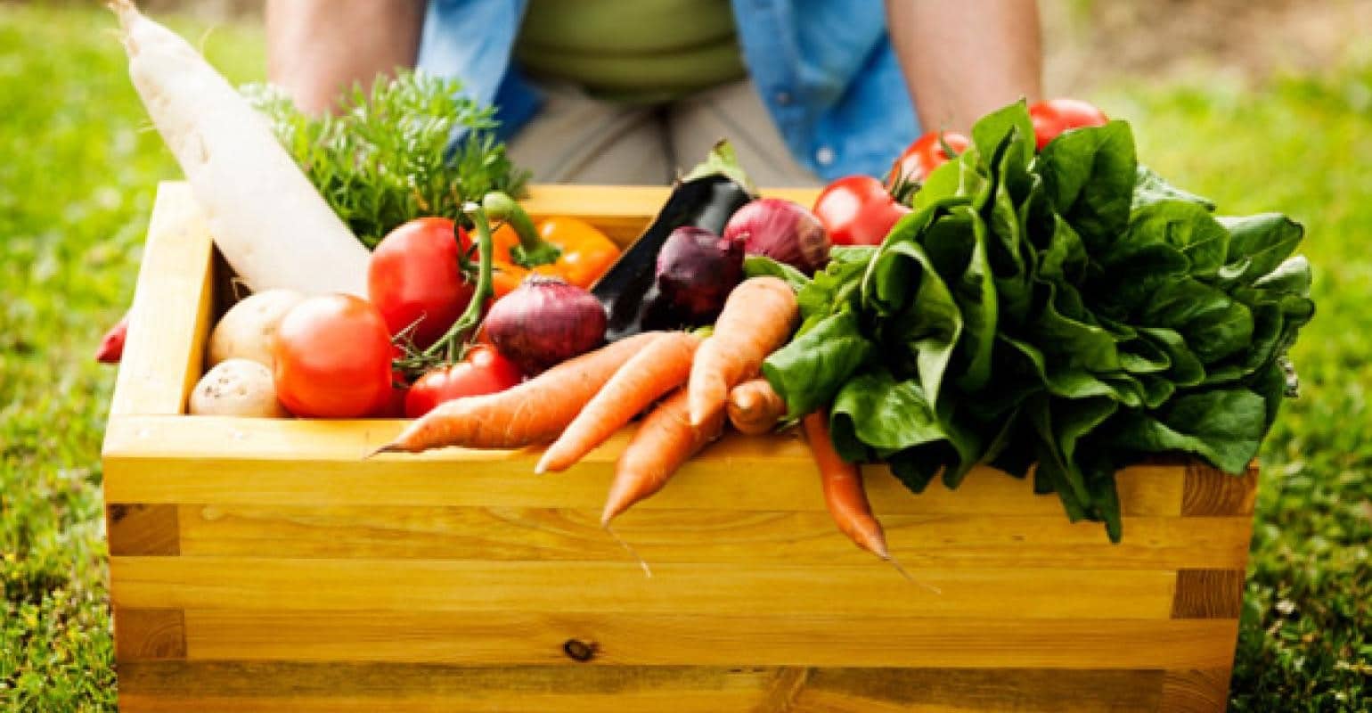 7-Day Fresh Meal Plan