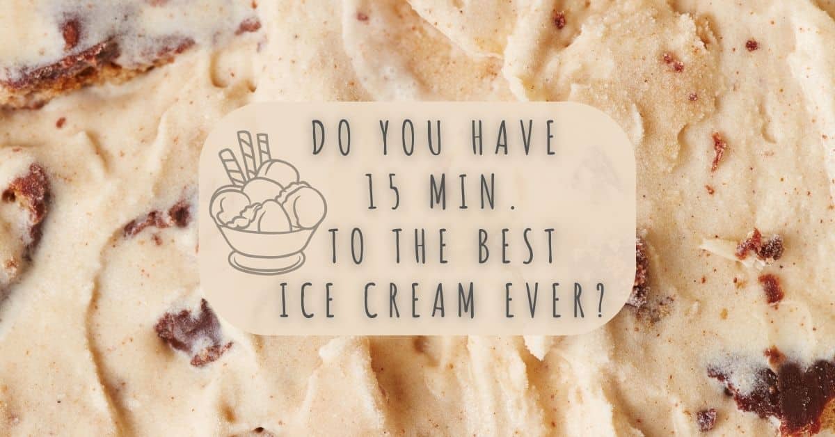 Gluten-Free Vegan Cookie Dough Ice Cream