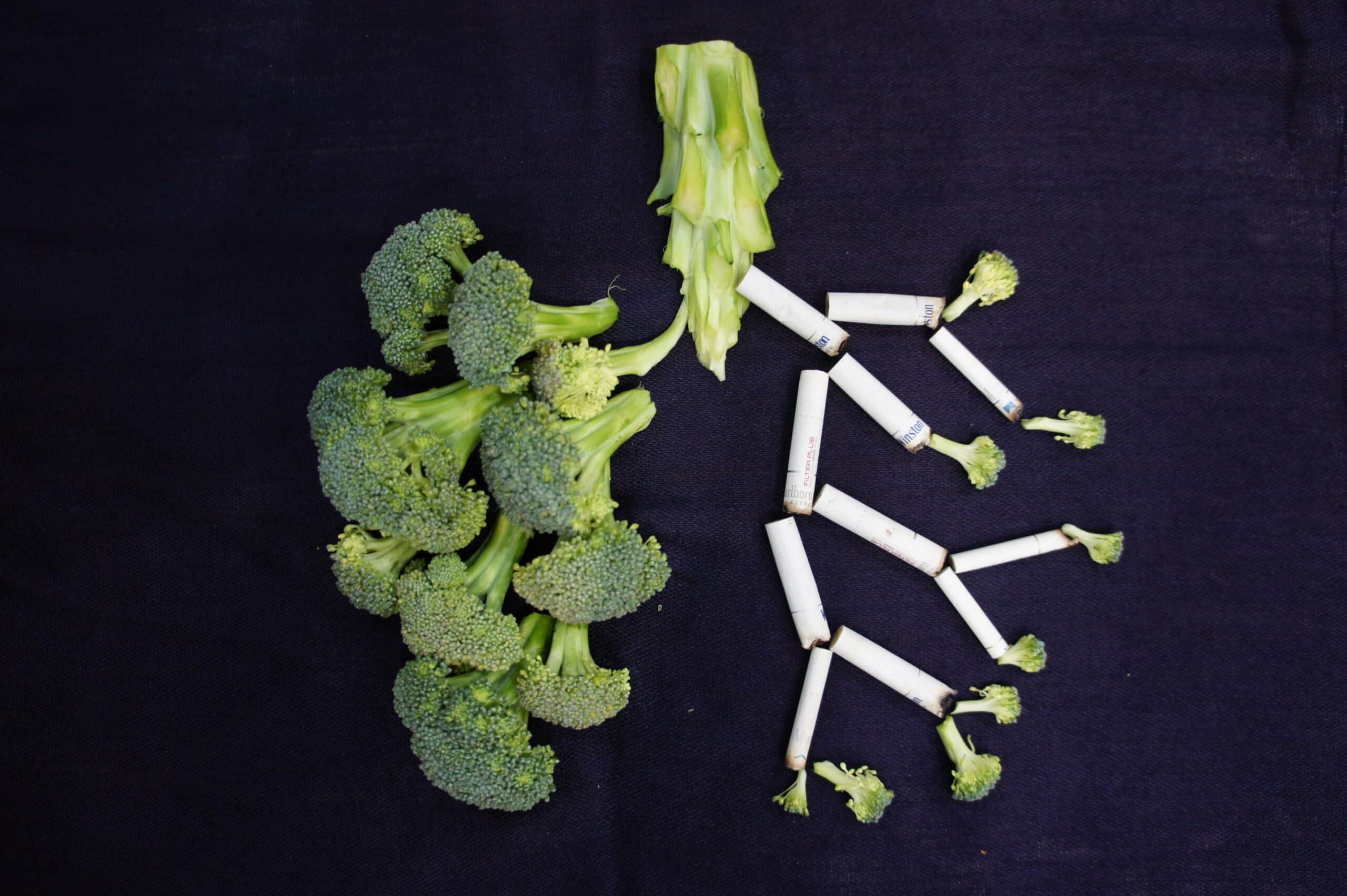 10 Foods to Strengthen Lungs