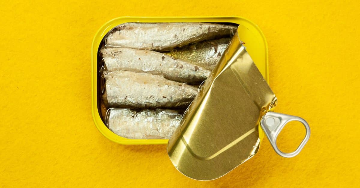 Fatty Fish List | 5 Most Fatty Fish