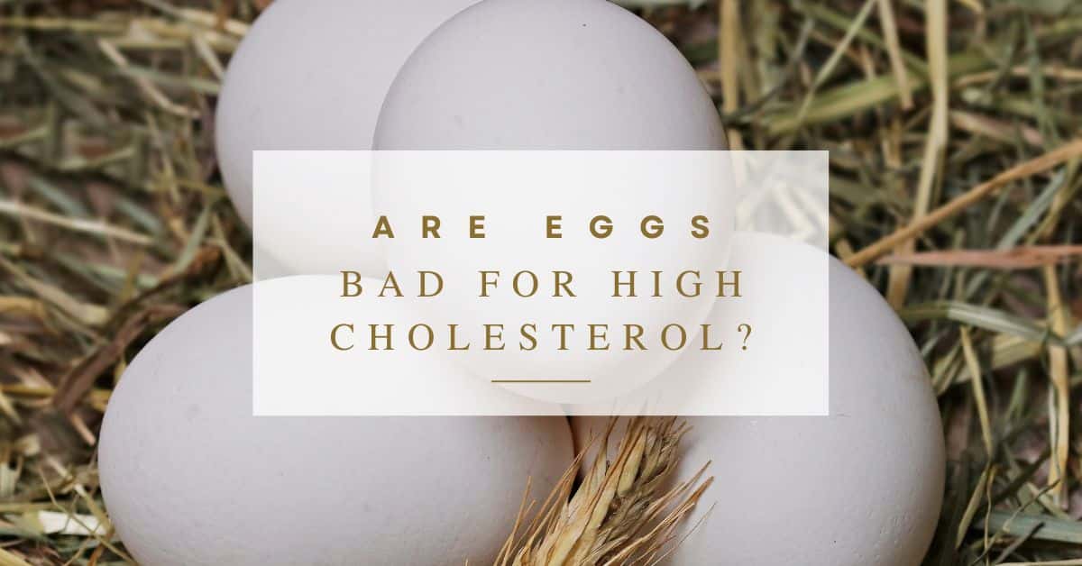 Are Eggs Bad for High Cholesterol