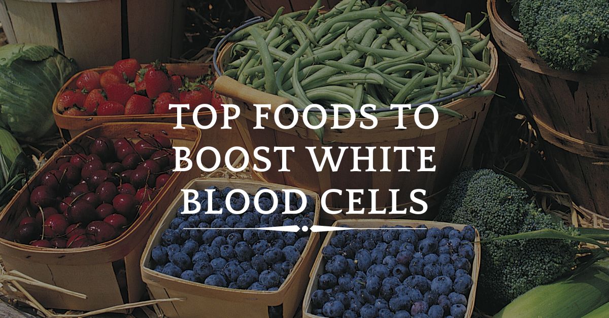 12 Foods to Boost White Blood Cells