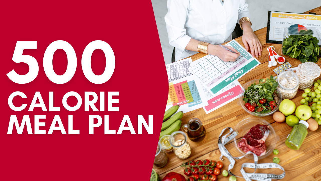 Printable 500 Calorie Diet Plan (PDF)