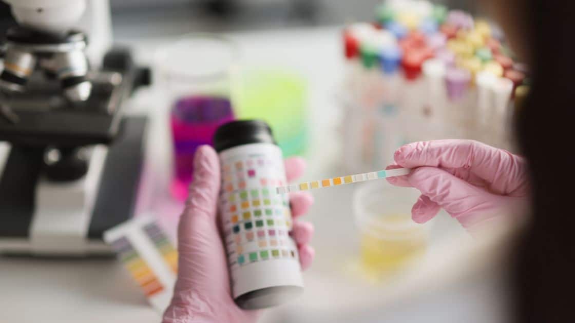Ketosis Symptoms: Connecting Personal Experience with Scientific Evidence