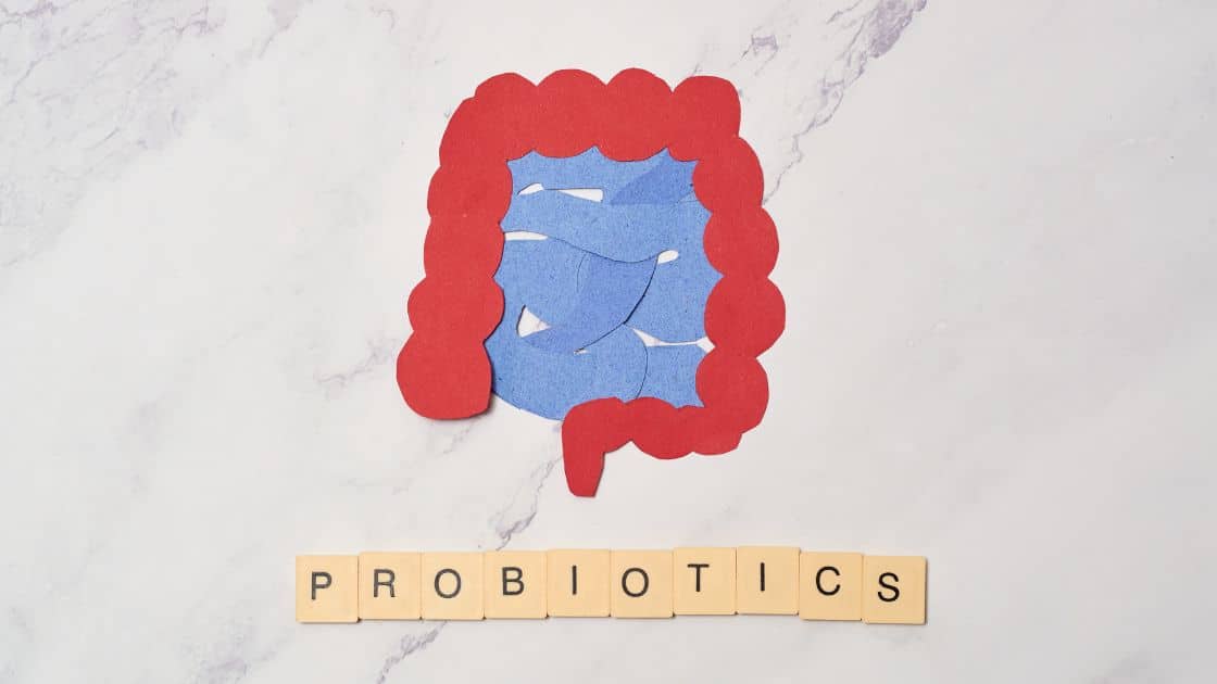 What is the Best Time to Take Probiotics?